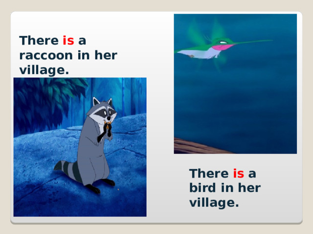 There is a raccoon in her village. There is a bird in her village. 