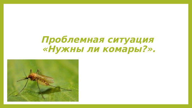 Проблемная ситуация  «Нужны ли комары?». 
