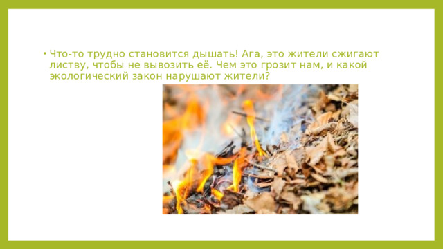 Что-то трудно становится дышать! Ага, это жители сжигают листву, чтобы не вывозить её. Чем это грозит нам, и какой экологический закон нарушают жители? 