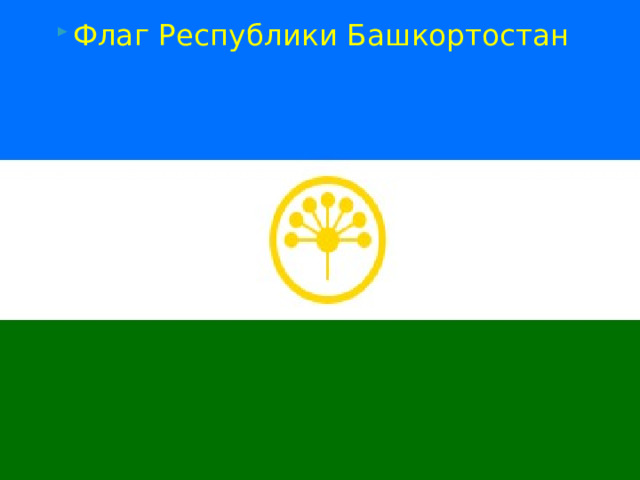 Флаг Республики Башкортостан 