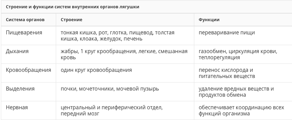 Заполните таблицу внутренние органы