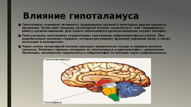 Презентация на тему:Гипофиз