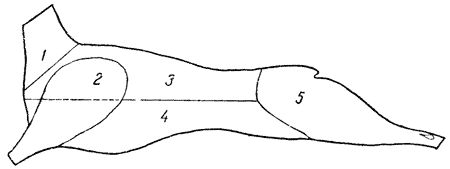 Схема разделки баранины козлятины на крупнокусковые полуфабрикаты