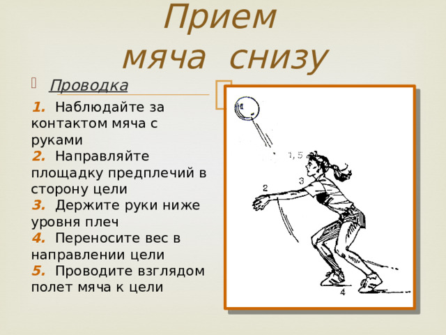 Прием мяча снизу Проводка 1. Наблюдайте за контактом мяча с руками 2. Направляйте площадку предплечий в сторону цели 3. Держите руки ниже уровня плеч 4. Переносите вес в направлении цели 5. Проводите взглядом полет мяча  к цели 