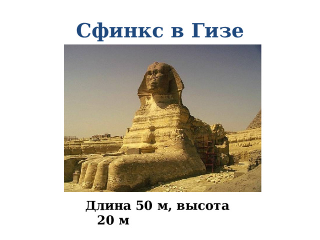 Сфинкс в Гизе Длина 50 м, высота 20 м 