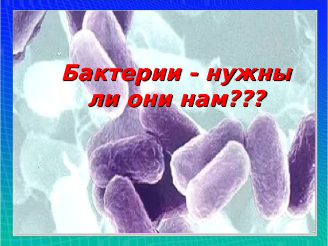 Бактерии - нужны ли они нам??? 