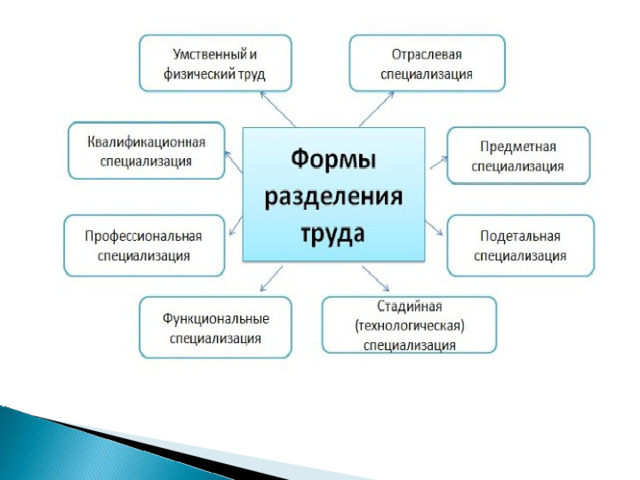 Сферы производства и разделение труда 8 класс технология презентация