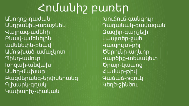 Հոմանիշ բառեր Անողոք-դաժան Խուճուճ-գանգուր Անդրանիկ-առաջնեկ Դագանակ-գավազան Զազիր-գարշելի Վալրագ-ամեհի Բնավ-ամենելին Լապտեր-ջահ ամենեփն-բնավ Կապույտ-բիլ Ամոթխած-ամաչկոտ Ծերունի-աղևոր Պինդ-ամուր Կարծիք-տեսակետ Ծրար-կապոց Խիզաի-անվախ Ասեղ-մախաթ Համար-թիվ Գաճաճ-թզուկ Բազմերանգ-երփներանգ Կեղծ-շինծու Գլխարկ-գղակ Կափարիչ-փական 