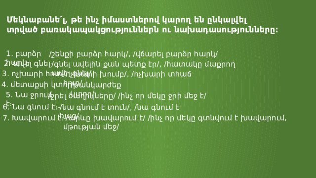 Մեկնաբանե՛լ, թե ինչ իմաստներով կարող են ընկալվել  տրված բառակապակցություններն ու նախադասությունները։ 1. բարձր հարկ- /շենքի բարձր հարկ/, /վճարել բարձր հարկ/ 2. ավել գնել- /գնել ավելին քան պետք էր/, /հատակը մաքրող ավել գնել/ 3. ոչխարի հոտ- /ոչխարի խումբ/, /ոչխարի տհաճ հոտ/ 4. մետաքսի կտոր- /թանկարժեք կտոր/ 5. Նա ջրում է։- /ջրել ծաղիկները/ /ինչ որ մեկը ջրի մեջ է/ 6. Նա գնում է։- /նա գնում է տուն/, /նա գնում է հաց/ 7. Խավարում է։-  /արևը խավարում է/ /ինչ որ մեկը գտնվում է խավարում, մթության մեջ/ 