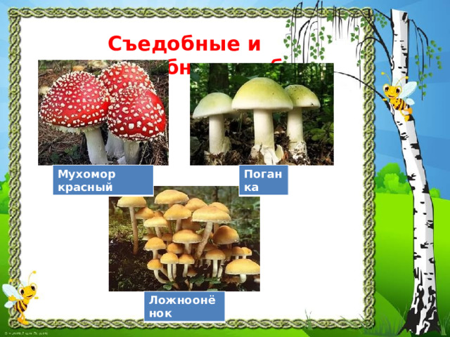 Презентация природа и наша безопасность 3 класс школа россии