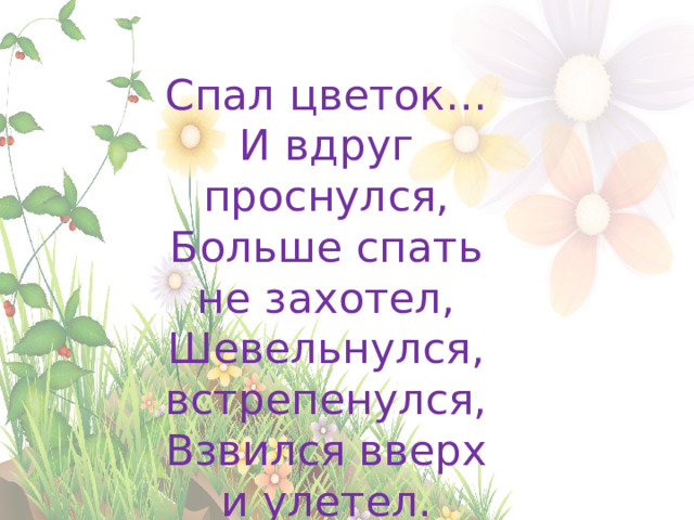 Спал цветок…  И вдруг проснулся,  Больше спать не захотел,  Шевельнулся, встрепенулся,  Взвился вверх и улетел. 