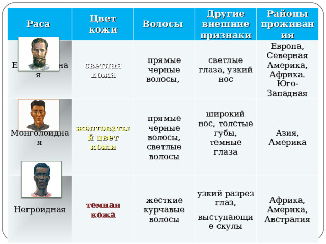 Признаки расы европеоидная монголоидная негроидная