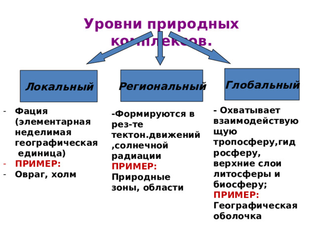 Глобальный региональный локальный уровни. Уровни природных комплексов. Глобальные, региональные и локальные природные комплексы. Природный территориальный комплекс. Локальные природные комплексы примеры.