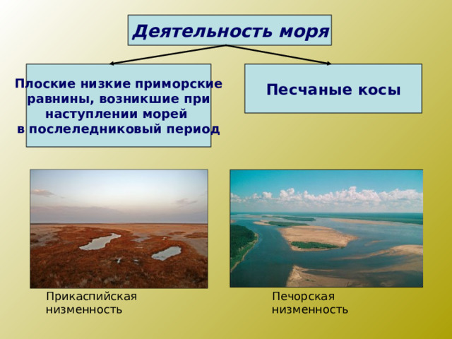 Деятельность моря Плоские низкие приморские равнины, возникшие при наступлении морей в послеледниковый период Песчаные косы Прикаспийская низменность Печорская низменность 