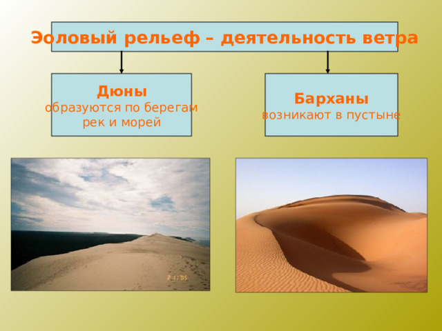 Эоловый рельеф – деятельность ветра Дюны образуются по берегам рек и морей Барханы возникают в пустыне 