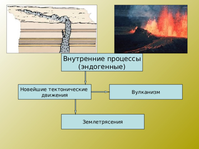 Внутренние процессы (эндогенные) Новейшие тектонические движения Вулканизм Землетрясения 