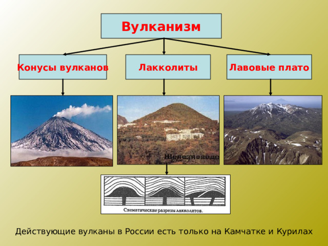 Вулканизм Конусы вулканов Лакколиты Лавовые плато Действующие вулканы в России есть только на Камчатке и Курилах 