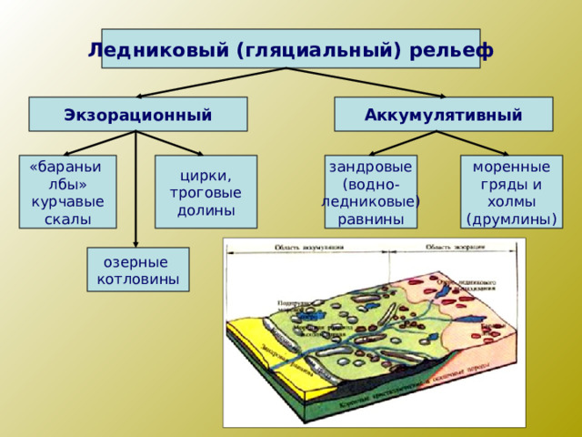 Ледниковый (гляциальный) рельеф Экзорационный Аккумулятивный «бараньи лбы» курчавые скалы цирки, троговые долины зандровые (водно- ледниковые) равнины моренные гряды и холмы (друмлины) озерные котловины 
