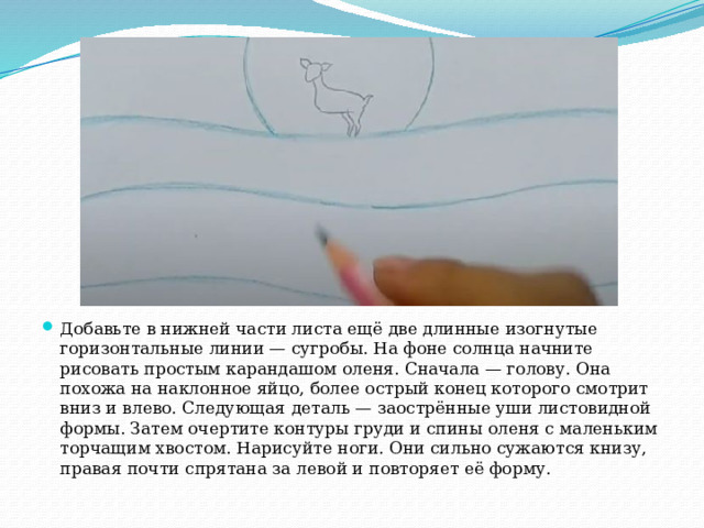 Добавьте в нижней части листа ещё две длинные изогнутые горизонтальные линии — сугробы. На фоне солнца начните рисовать простым карандашом оленя. Сначала — голову. Она похожа на наклонное яйцо, более острый конец которого смотрит вниз и влево. Следующая деталь — заострённые уши листовидной формы. Затем очертите контуры груди и спины оленя с маленьким торчащим хвостом. Нарисуйте ноги. Они сильно сужаются книзу, правая почти спрятана за левой и повторяет её форму. 