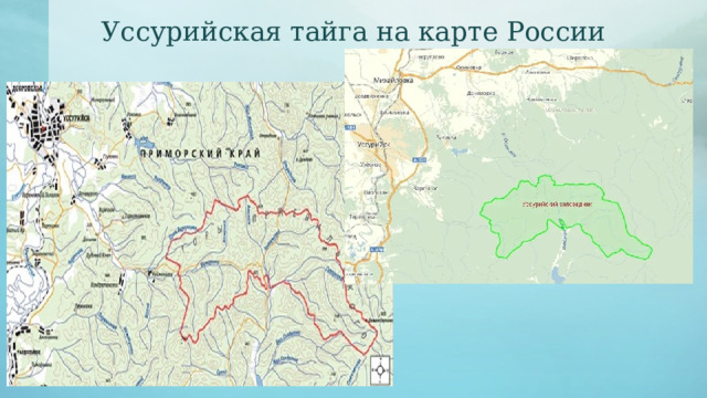 Уссурийская тайга на карте России 
