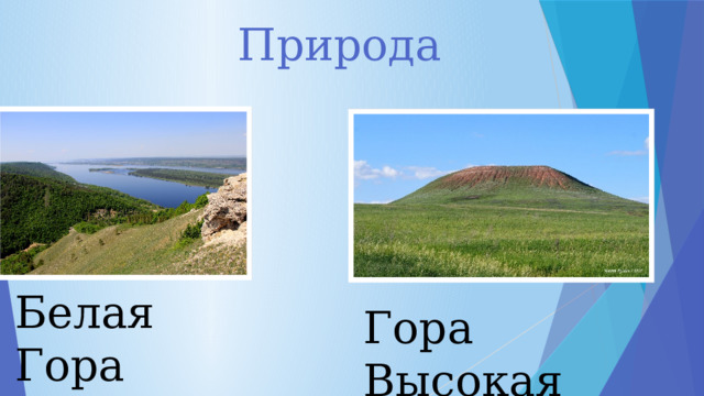 Природа Белая Гора Гора Высокая 