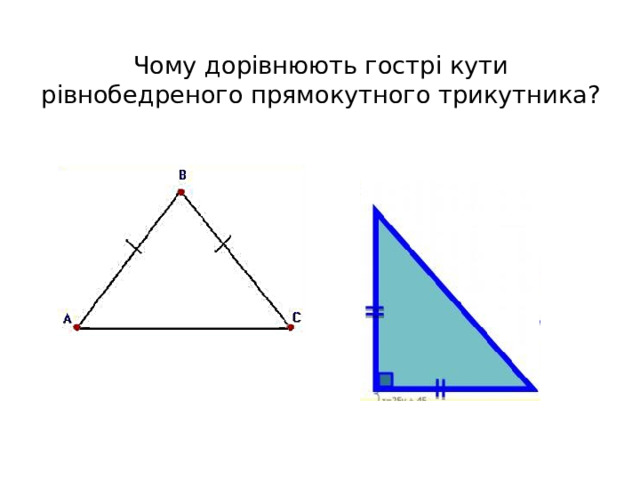 Чому дорівнюють гострі кути рівнобедреного прямокутного трикутника? 