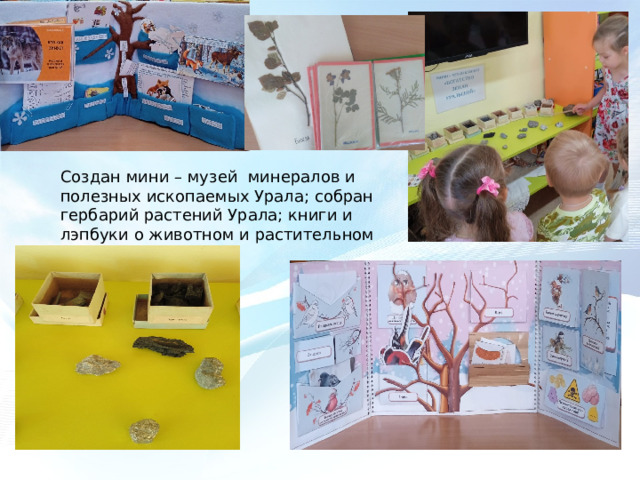 Создан мини – музей минералов и полезных ископаемых Урала; собран гербарий растений Урала; книги и лэпбуки о животном и растительном мире нашего края. 