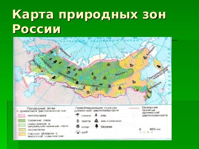 Карта природных зон России 