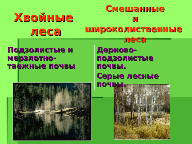 Почвы зоны хвойных лесов. Мерзлотно-Таежные почвы. Мерзлотно Таежные леса. Смешанные и широколиственные леса почва в России. Почвы таежно-Лесной зоны.