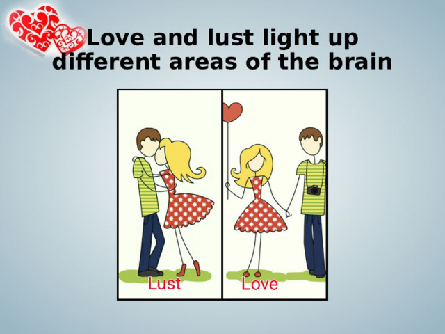 Love and lust light up different areas of the brain 