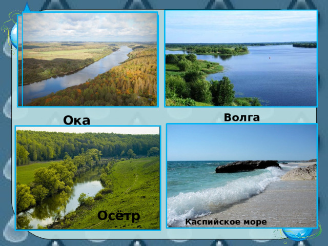            Осётр Волга Ока           Каспийское море 