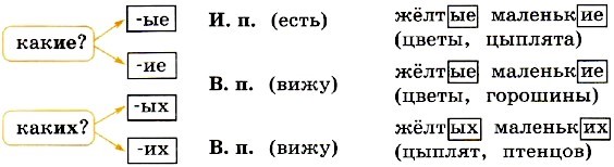 Склонение прилагательных во множественном числе 3 класс пнш презентация