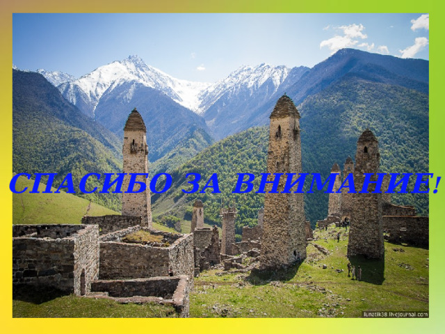 СПАСИБО ЗА ВНИМАНИЕ ! 