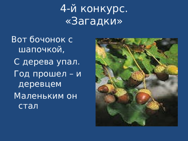 4-й конкурс.  «Загадки»   Вот бочонок с шапочкой,  С дерева упал.  Год прошел – и деревцем  Маленьким он стал 