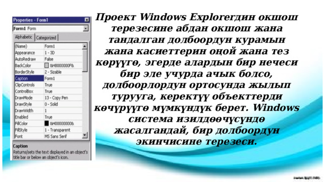 Project Explorer терезеси  Проект Windows Explorerдин окшош терезесине абдан окшош жана тандалган долбоордун курамын жана касиеттерин оңой жана тез көрүүгө, эгерде алардын бир нечеси бир эле учурда ачык болсо, долбоорлордун ортосунда жылып турууга, керектүү объекттерди көчүрүүгө мүмкүндүк берет. Windows система изилдөөчүсүндө жасалгандай, бир долбоордун экинчисине терезеси. 