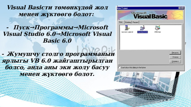  Visual Basicти төмөнкүдөй жол менен жүктөөгө болот:  -  Пуск→Программы→Microsoft Visual Studio 6.0→Microsoft Visual Basic 6.0   -  Жумушчу столго программанын ярлыгы VB 6.0 жайгаштырылган болсо, анда аны эки жолу басуу менен жүктөөгө болот. 