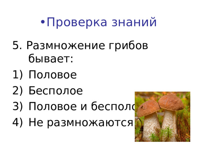 • Проверка знаний 5. Размножение грибов бывает: Половое Бесполое Половое и бесполое Не размножаются    