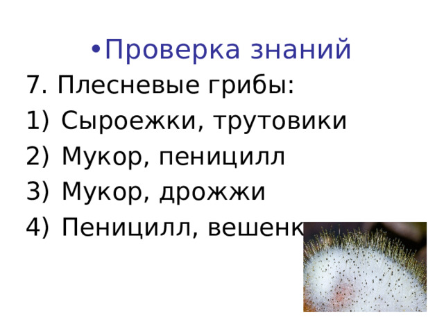 • Проверка знаний 7. Плесневые грибы: Сыроежки, трутовики Мукор, пеницилл Мукор, дрожжи Пеницилл, вешенки    