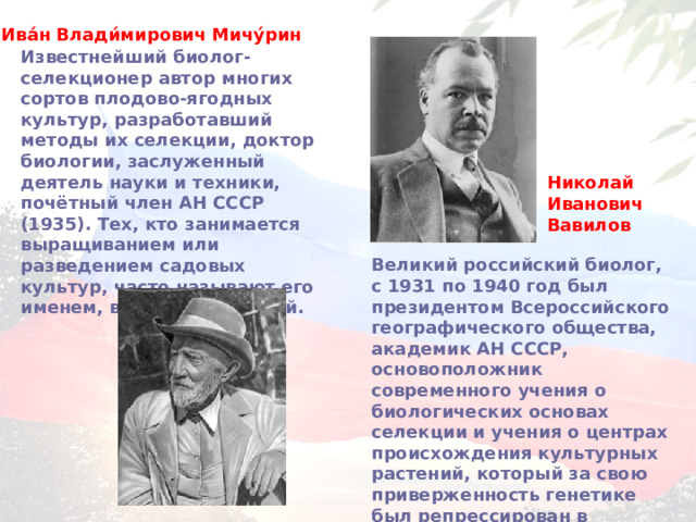 Ива́н Влади́мирович Мичу́рин Известнейший биолог-селекционер автор многих сортов плодово-ягодных культур, разработавший методы их селекции, доктор биологии, заслуженный деятель науки и техники, почётный член АН СССР (1935). Тех, кто занимается выращиванием или разведением садовых культур, часто называют его именем, вернее, фамилией. Николай Иванович Вавилов Великий российский биолог, с 1931 по 1940 год был президентом Всероссийского географического общества, академик АН СССР, основоположник современного учения о биологических основах селекции и учения о центрах происхождения культурных растений, который за свою приверженность генетике был репрессирован в сталинские времена.  