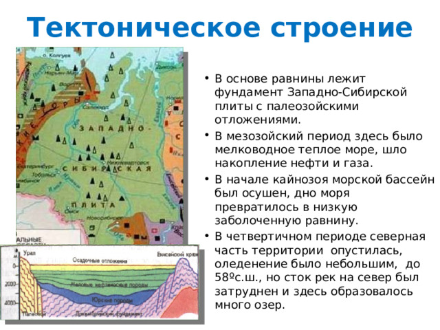 Западно сибирская равнина 8 класс презентация. Тектоническая структура Западно-сибирской равнины. Западно-Сибирская низменность тектоническая структура. В основании Западно сибирской равнины лежит. Интересные факты о Западно сибирской равнине.