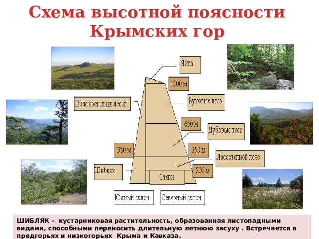 Схема высотная поясность