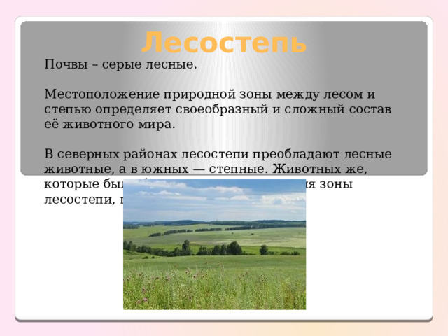 Климат лесостепи в России. Лесостепь природная зона. Степи и лесостепи. Почвы лесостепи. Какие природные комплексы отличаются от степи