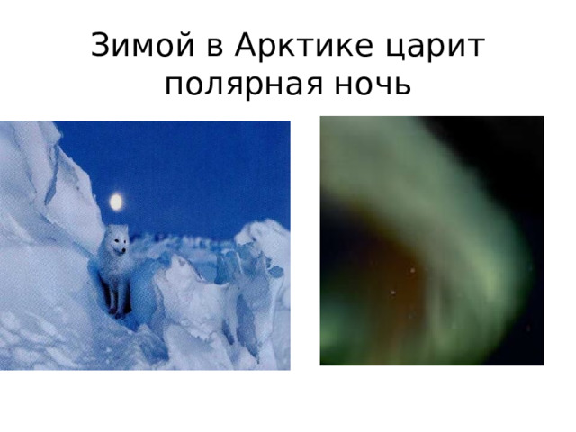 Зимой в Арктике царит полярная ночь 