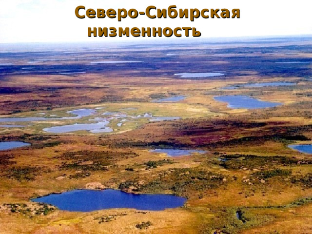 Северо сибирская