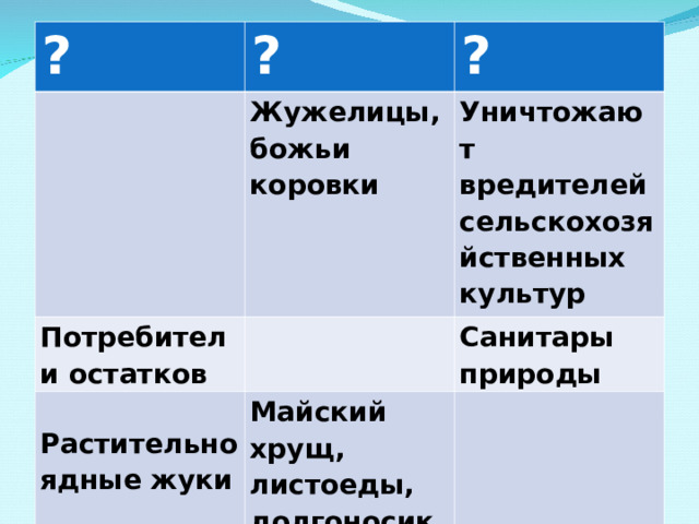 ? ? Жужелицы, божьи коровки Потребители остатков ?  Растительноядные жуки Уничтожают вредителей сельскохозяйственных культур Майский хрущ, листоеды, долгоносики Санитары природы 