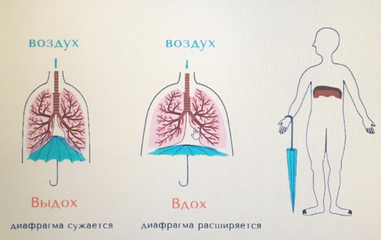 Открытый урок «Работа над певческим дыхание. Вокальные упражнения как  способ формирования певческих навыков у обучающихся в классе эстрадного  вокала»