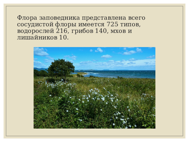 Флора заповедника представлена всего сосудистой флоры имеется 725 типов, водорослей 216, грибов 140, мхов и лишайников 10. 