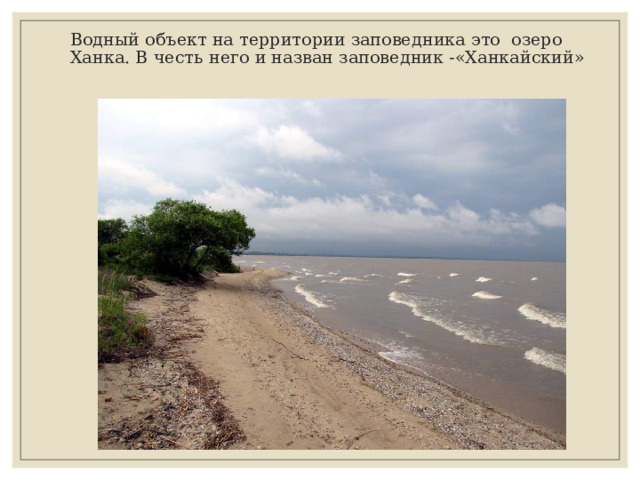 Водный объект на территории заповедника это озеро Ханка. В честь него и назван заповедник -«Ханкайский» 