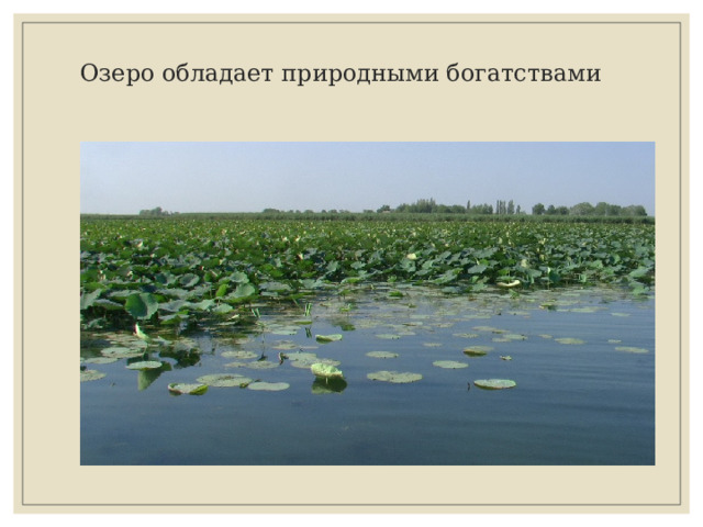 Озеро обладает природными богатствами 