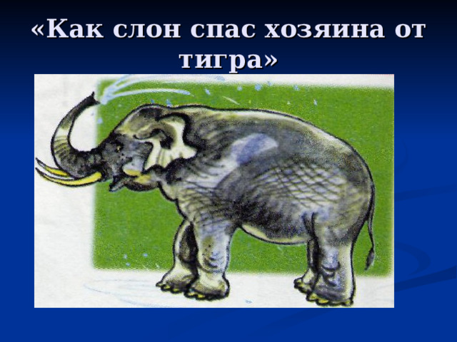 «Как слон спас хозяина от тигра» 